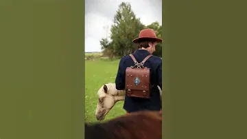 WoobbyArt в стиле вестерн! 🐎Как вам такое? 😎