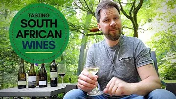 Exploring the Best South African Wines