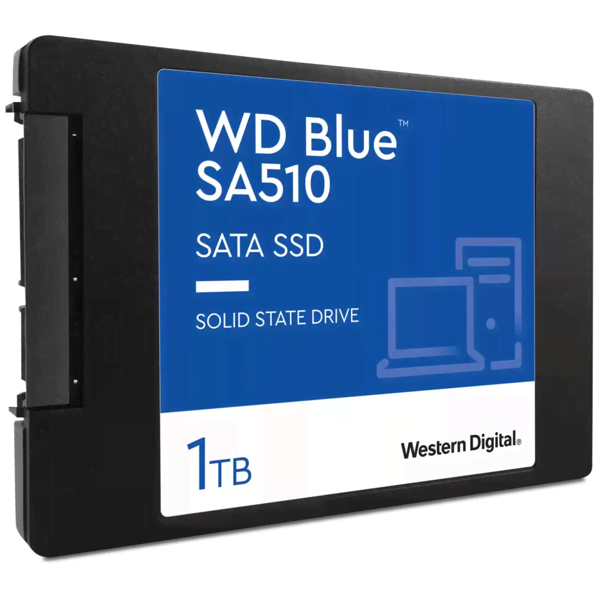 SSD накопитель Western Digital WDS100T3B0A-0