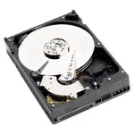 Western Digital WD Caviar SE 200 GB (WD2000JS)